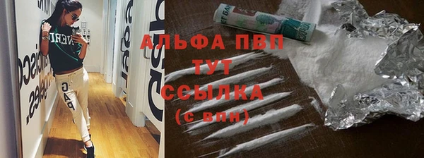 спиды Покачи