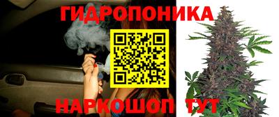 кокаин колумбия Аргун