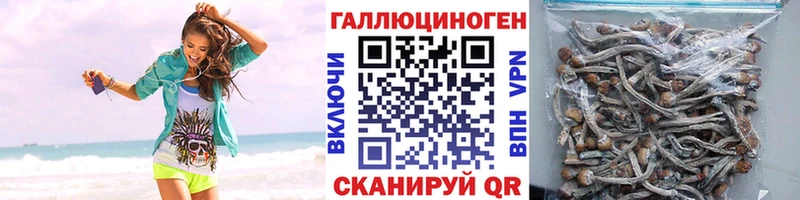 Галлюциногенные грибы Cubensis  Баксан 