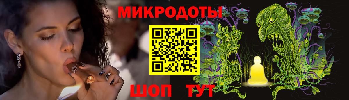 Галлюциногенные грибы Psilocybe  Вход с VPN  Баксан  Псилоцибиновые грибы мухоморы 