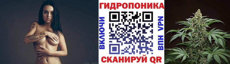 блэк спрут ссылка  Баксан  Конопля SATIVA & INDICA 