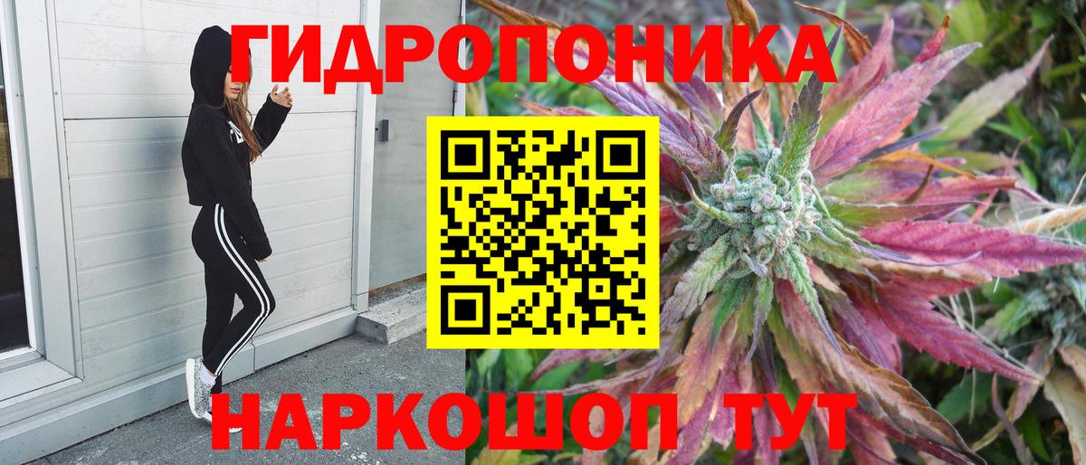 Баксан  Каннабис VHQ  Марихуана сатива  Вход с VPN 